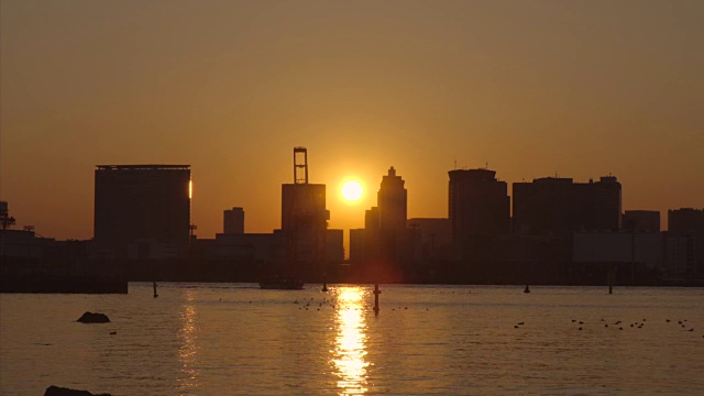 台场的夜景视频素材画面1