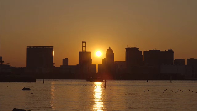 台场的夜景视频素材画面2