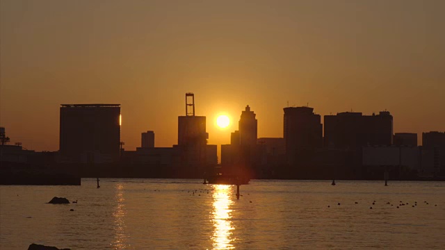 台场的夜景视频素材画面3