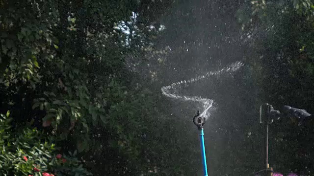 在花园里洒水，4k视频素材