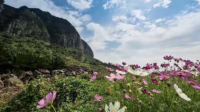 三帮三山和宇宙花坛景色视频素材