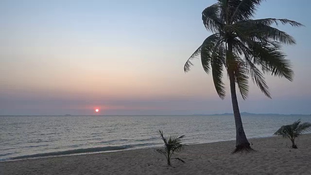 日落和海滩上的大海视频素材