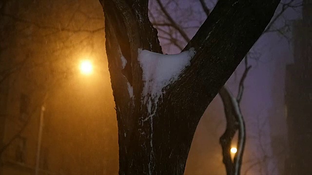 城市里有暴风雪。冬季风暴的风景。下雪天气的慢动作视频素材