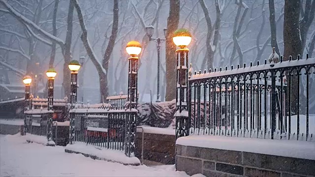 城市里有暴风雪。冬季风暴的风景。下雪天气的慢动作视频素材