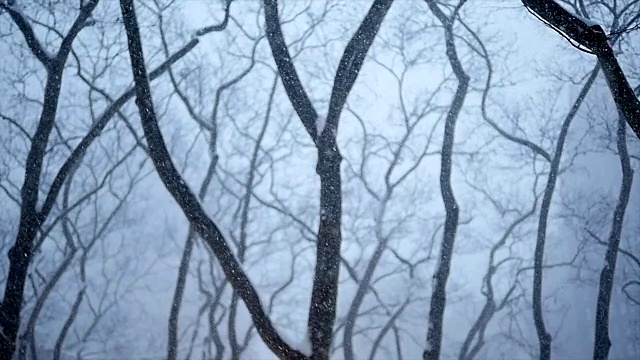 城市里有暴风雪。冬季风暴的风景。下雪天气的慢动作视频素材