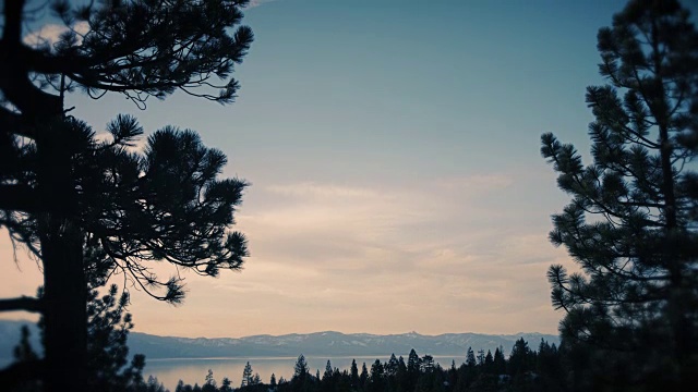 树覆盖的太浩湖海岸视频素材