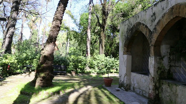 植物园(Orto Botanico di Palermo)，花园中的一口井，巴勒莫，西西里岛视频素材