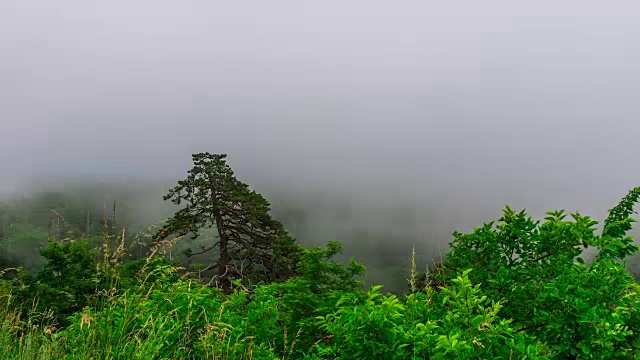 云在雪兰多国家公园的森林山丘上漂移的延时镜头。视频素材