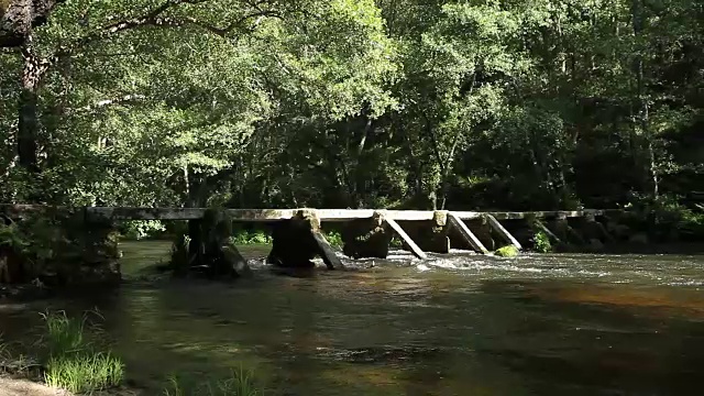 阿诺亚河视频下载