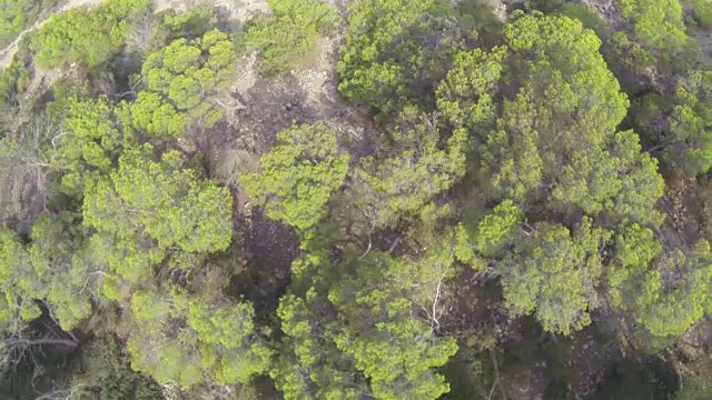 鸟瞰图的岩石海岸线和森林在伊比沙岛，西班牙视频素材