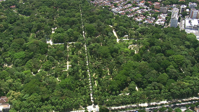 WS航拍的植物园地区在城市/里约热内卢de Janeiro，巴西视频素材