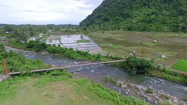 《自然》(Nature)亚齐视频素材