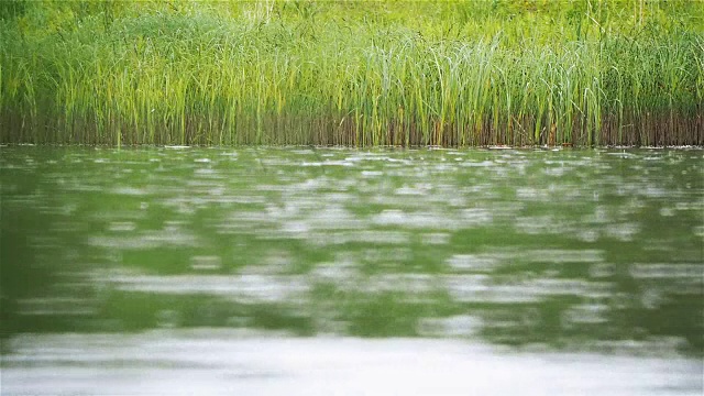 河流量视频下载