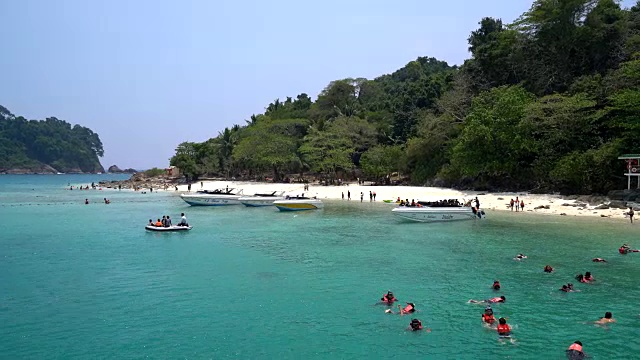 人群浮潜或潜水视频素材