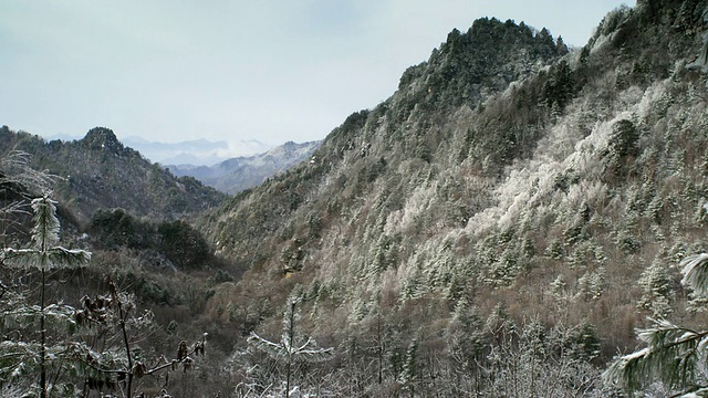 中国陕西长庆，霜林谷视频素材