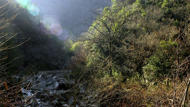 阳光悄悄进入中国陕西长庆的森林山谷视频素材