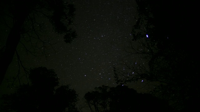 在中国，夜晚星星的轨迹和月亮在森林中升起视频素材