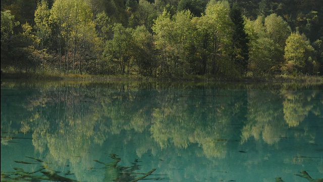 阳光照亮碧绿的湖，九寨沟，中国四川视频素材