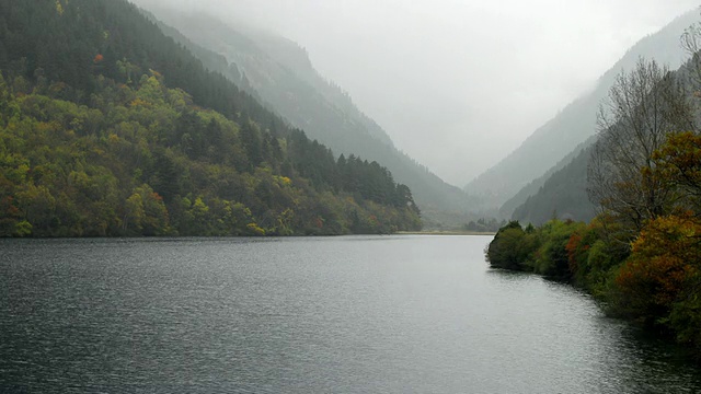 森林山谷和湖泊，九寨沟，四川，中国视频素材