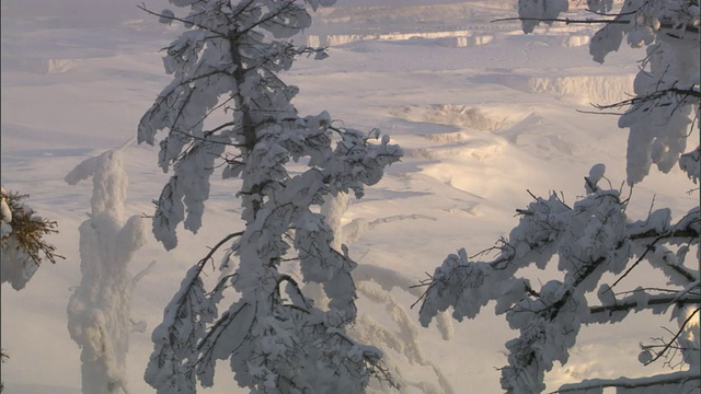 美国黄石公园，温泉的蒸汽在白雪覆盖的树林中飘浮视频素材