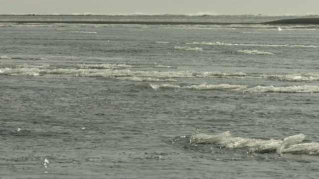 碎冰聚集在冰岛海岸的海滩上。视频素材