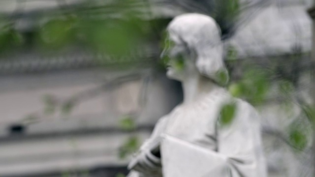雕塑和绿叶树。视频素材画面4