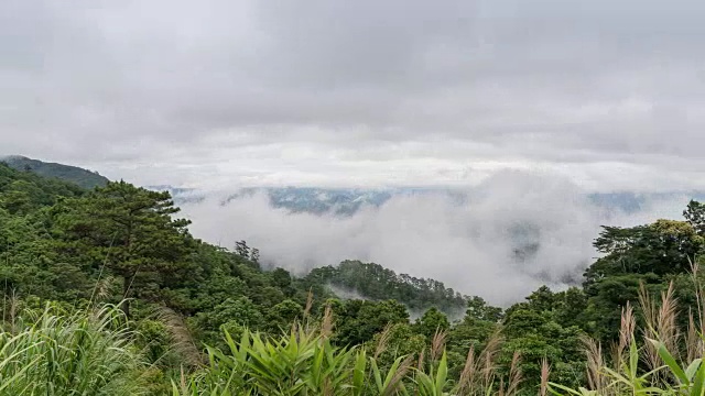 雾山运动雾视频素材