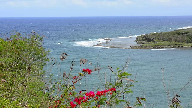 关岛美国领土Talofofo湾与波浪湾在Talofofo在关岛东南部视频素材