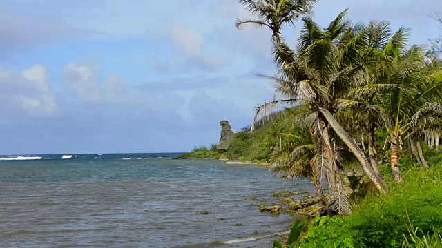 关岛，美国领土，棕榈树和波浪在熊岩在南关岛视频素材