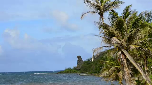 关岛，美国领土，棕榈树和波浪在熊岩在南关岛视频素材