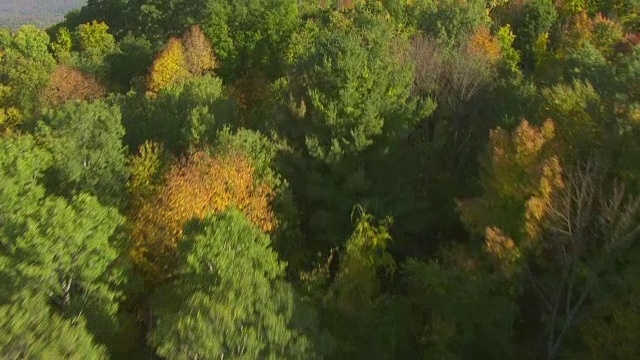 美国佛蒙特州本宁顿森林地区的WS TU航拍本宁顿战役纪念碑视频素材