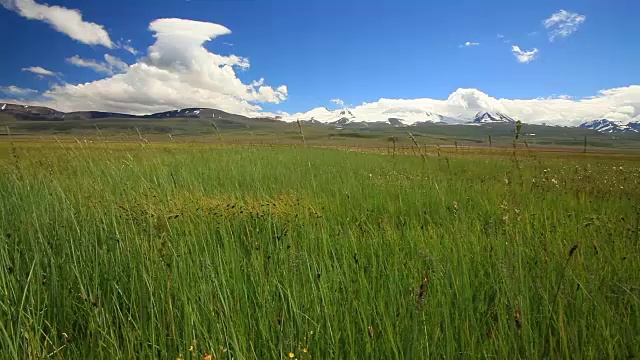 风吹过山中的草地视频素材