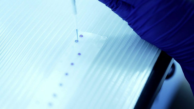 科学家将DNA混合在膜上然后装入琼脂糖，慢镜头视频素材画面3