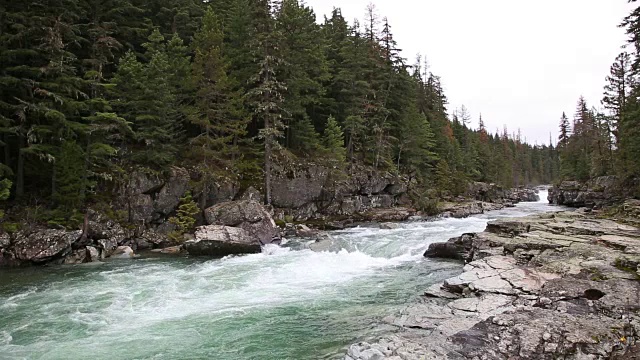 宽阔的镜头美丽的绿色水急流在河流通过地衣覆盖的岩石和常绿的森林。视频素材