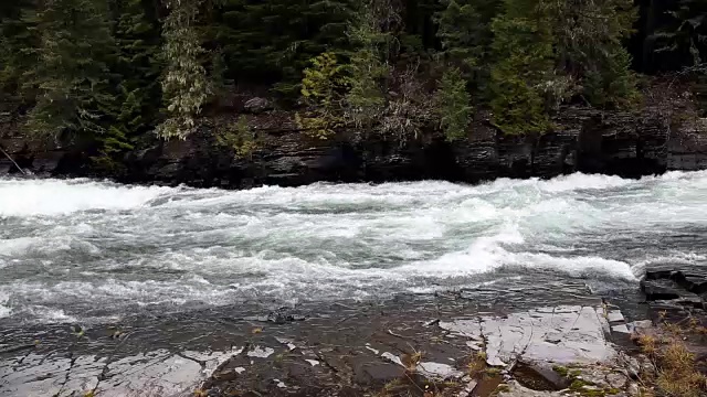 近距离拍摄美丽的绿色水急流在河流通过苔藓覆盖的岩石。和常绿森林。视频素材