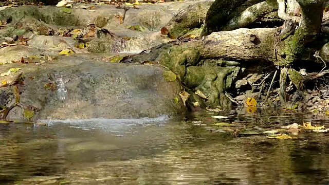 河流沿着石阶流淌视频素材