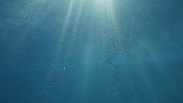 女游泳运动员潜入泳池的水下镜头视频素材画面3