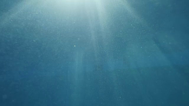 女游泳运动员潜入泳池的水下镜头视频素材画面4