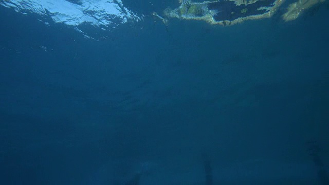 女游泳运动员潜入泳池的水下镜头视频素材画面1