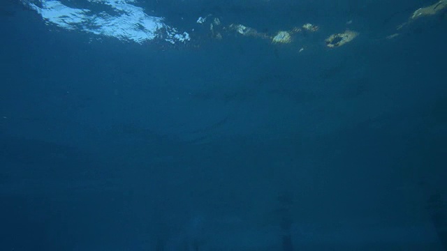女游泳运动员潜入泳池的水下镜头视频素材画面2