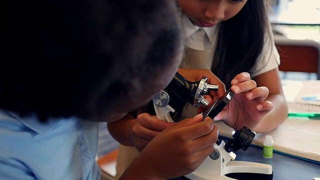 小学STEM学校的女孩们一起从事科学项目视频下载