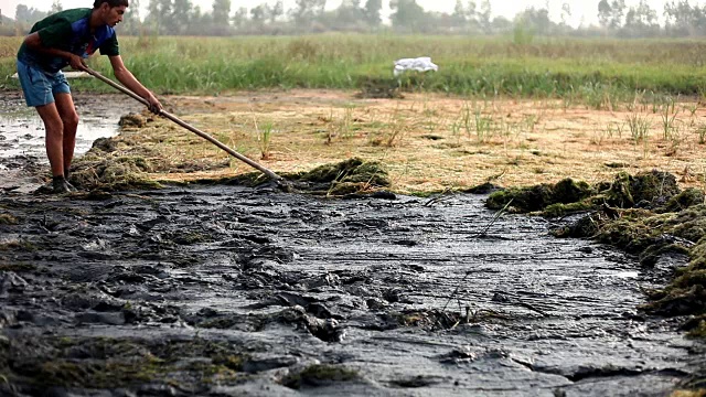 年轻的农民在地里干活视频素材