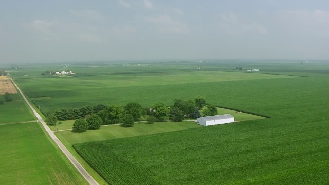 WS AERIAL POV绿色农田/维戈县，Terra Haute，印第安那州，美国视频素材