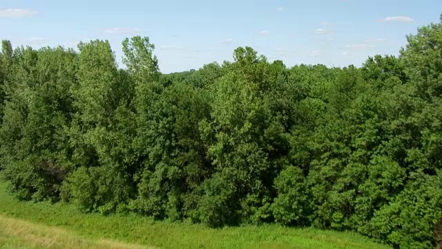 WS AERIAL POV农田与作物和森林，沃巴什河背景/波西县，新和谐，印第安纳州，美国视频素材