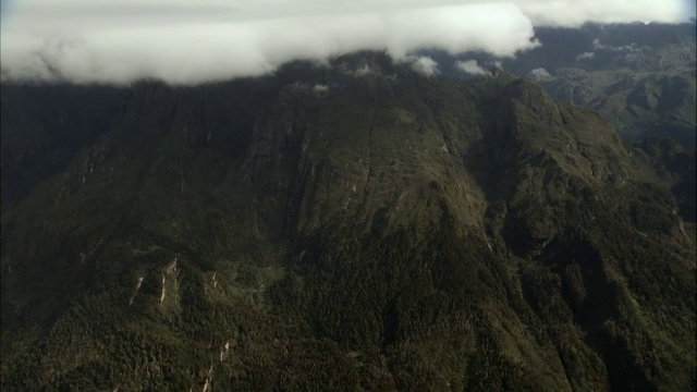 云雾之上，高山和山谷，乌干达鲁文佐里视频素材