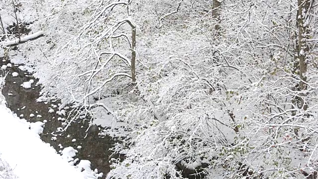 极端天气-暴风雪视频素材