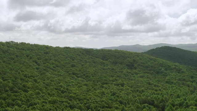 WS AERIAL POV蓝岭山脉与树顶/吉尔默县，乔治亚州，美国视频素材