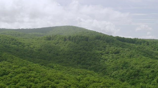 WS AERIAL POV蓝岭山脉与树顶/吉尔默县，皮肯斯县，美国乔治亚州视频素材