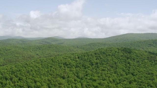 WS AERIAL POV蓝岭山脉与森林地区/吉尔默县，道森县，美国乔治亚州视频素材