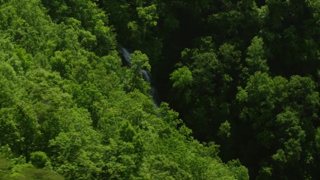 Amicalola Falls / Gilmer County, Dawson County, United States乔治亚州，美国视频素材